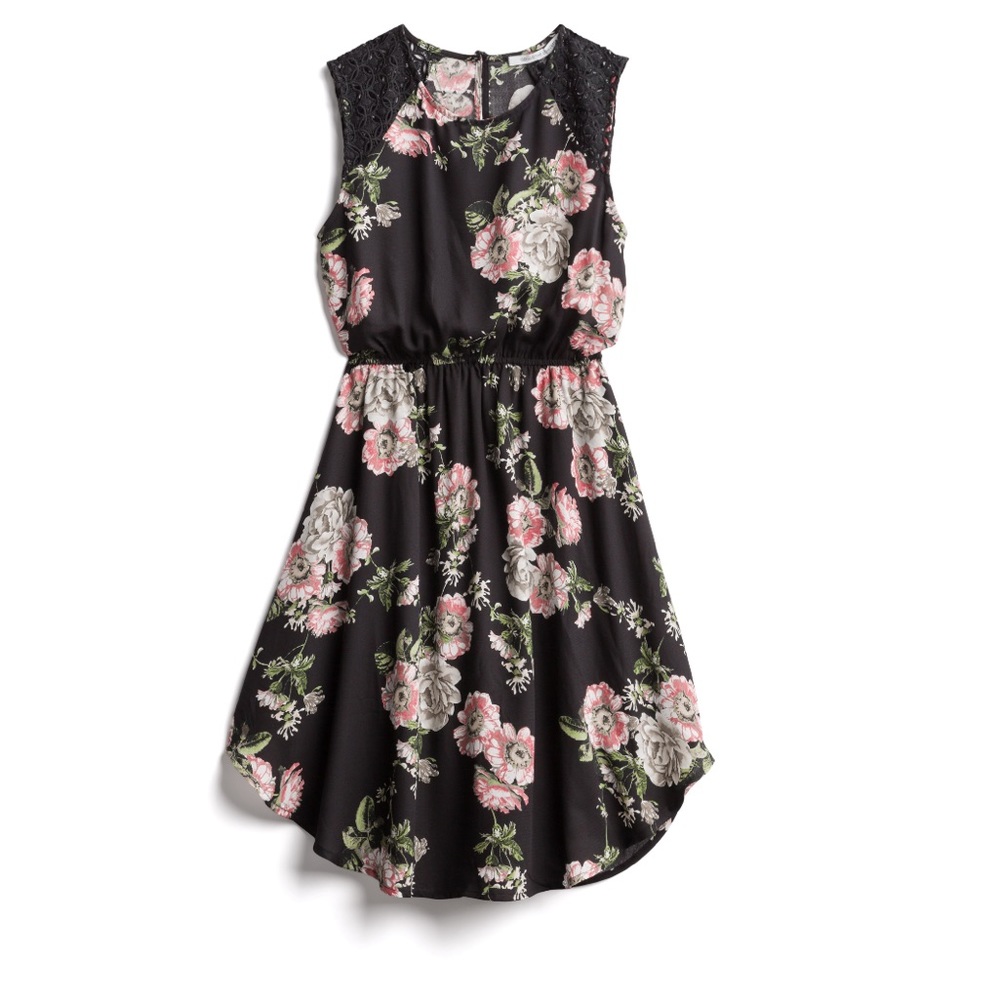 Collective Concepts Tania Crochet Detail Dress